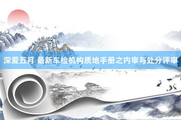 深爱五月 最新车检机构质地手册之内审与处分评审