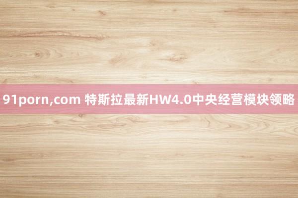 91porn,com 特斯拉最新HW4.0中央经营模块领略