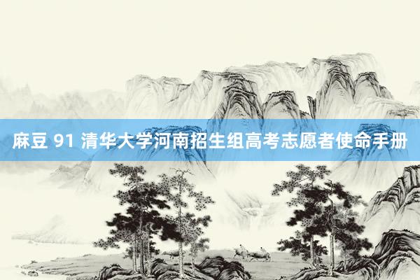 麻豆 91 清华大学河南招生组高考志愿者使命手册