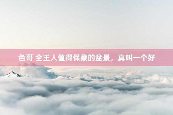 色哥 全王人值得保藏的盆景，真叫一个好