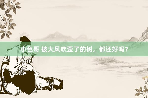 小色哥 被大风吹歪了的树。都还好吗？