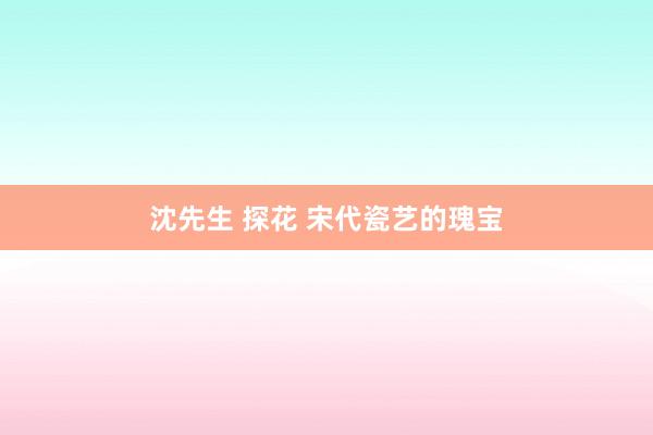 沈先生 探花 宋代瓷艺的瑰宝