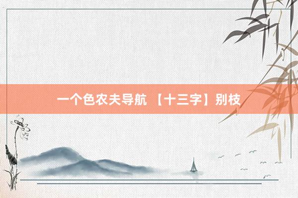 一个色农夫导航 【十三字】别枝