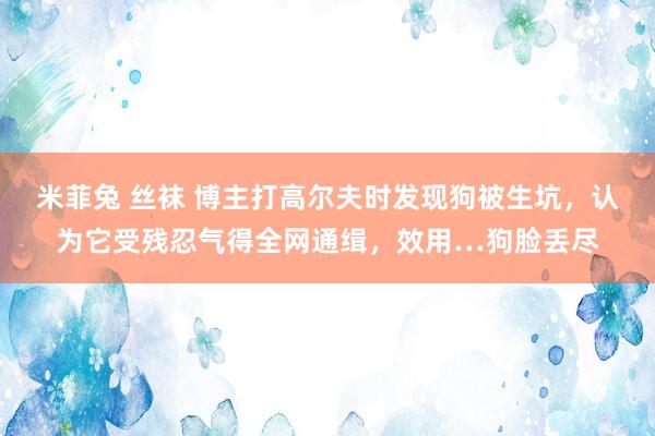 米菲兔 丝袜 博主打高尔夫时发现狗被生坑，认为它受残忍气得全网通缉，效用…狗脸丢尽